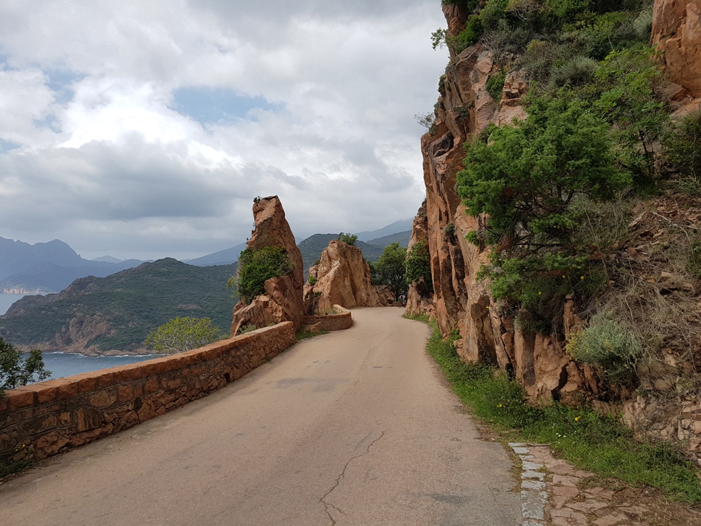 corse 022