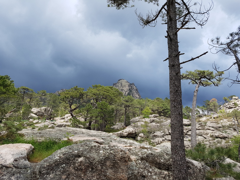 La pluie menace