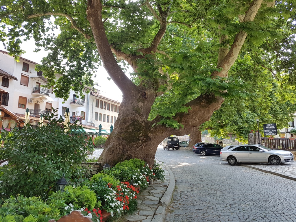 Melnik